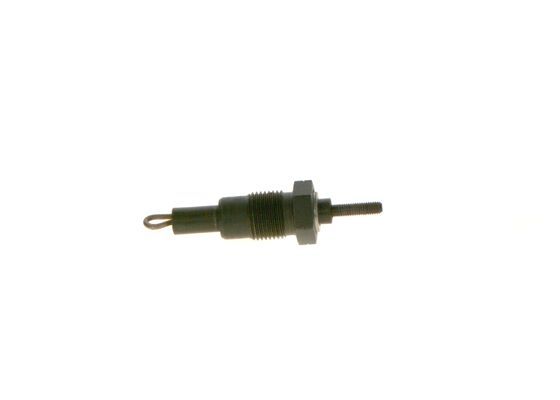 BOSCH Glühkerze (0 250 001 016)