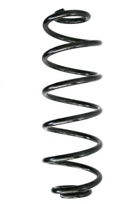 SPIDAN Fahrwerksfeder (86532)