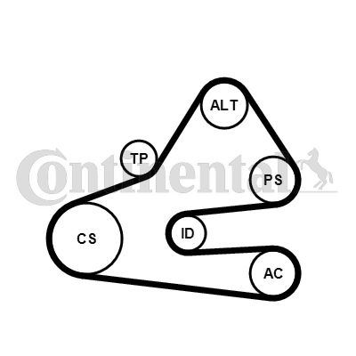 CONTINENTAL CTAM Keilrippenriemensatz (6PK1613K1) Thumbnail