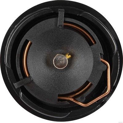 HERTH+BUSS ELPARTS Schalter, Hupe (70575020) HERTH+BUSS ELPARTS Schalter, Hupe (70575020)