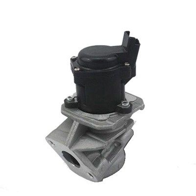 MAGNETI MARELLI AGR-Ventil (571822112029)