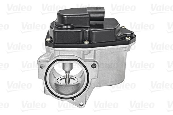VALEO AGR-Ventil (700424)