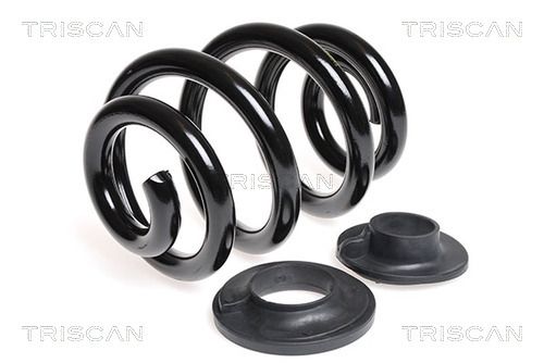 TRISCAN Fahrwerksfeder (8750 29136)