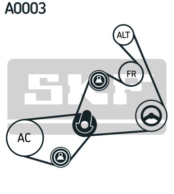 SKF Keilrippenriemensatz (VKMA 31020)