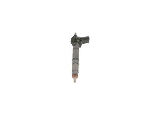 BOSCH Einspritzdüse (0 445 117 028)