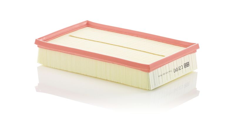 MANN-FILTER Luftfilter (C 28 043)