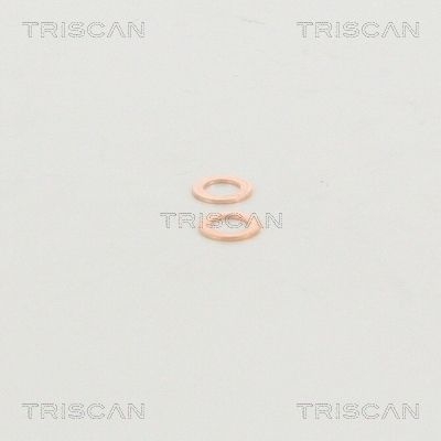 TRISCAN Bremsschlauch (8150 29132) TRISCAN Bremsschlauch (8150 29132)