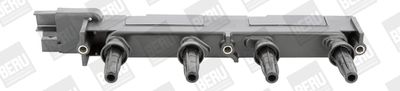BorgWarner (BERU) Zündspule (ZS348)