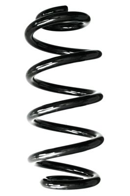 SPIDAN Fahrwerksfeder (GKNW10010)