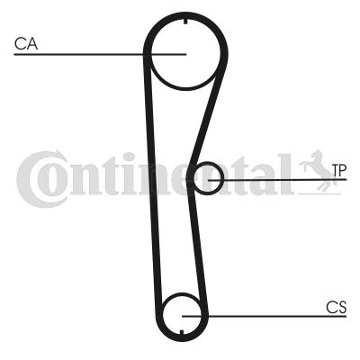 CONTINENTAL CTAM Zahnriemen (CT824)