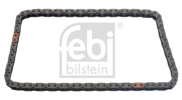 FEBI BILSTEIN Steuerkette (48573)