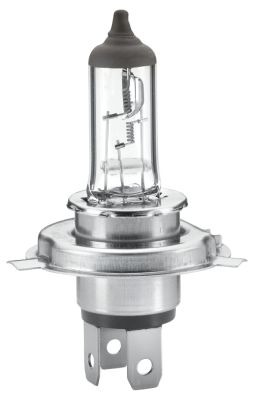 HELLA Glühlampe, Hauptscheinwerfer (8GJ 002 525-251) 4082300021998 8GJ 002 525-251