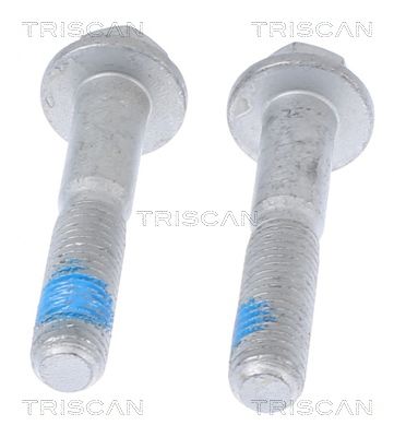TRISCAN Reparatursatz, Radaufhängung (8500 10402)