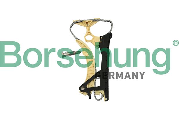 Borsehung Steuerkettensatz (B18854)