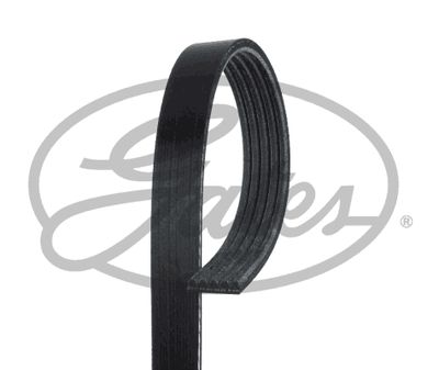 GATES Keilrippenriemen (5PK1236SF) Thumbnail