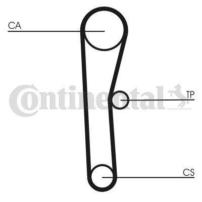 CONTINENTAL CTAM Zahnriemen (CT536)