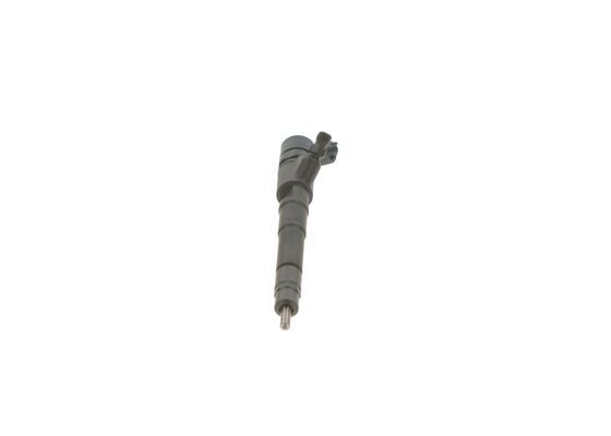 BOSCH Einspritzdüse (0 445 110 273)