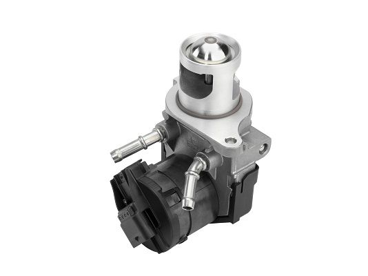 BorgWarner (Wahler) AGR-Ventil (710327D/1)