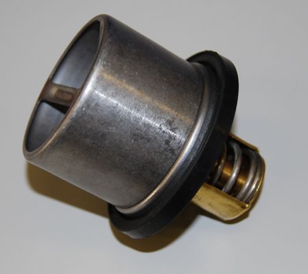 BorgWarner (Wahler) Thermostat, Kühlmittel (4619.82)