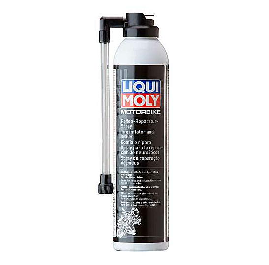 LIQUI MOLY Montagepaste (1579)