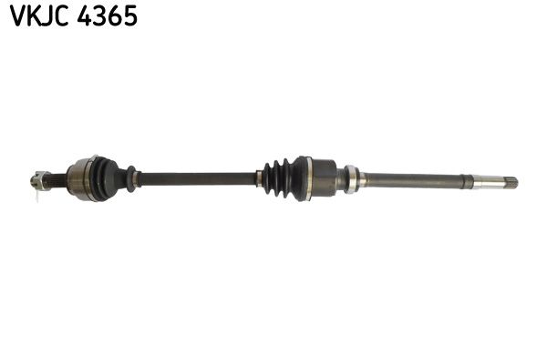 SKF Antriebswelle (VKJC 4365)