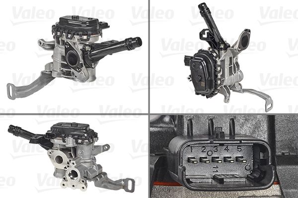 VALEO AGR-Ventil (700455)