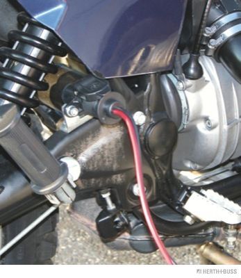 HERTH+BUSS ELPARTS Stecker (51305635) Thumbnail