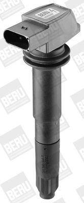 BorgWarner (BERU) Zündspule (ZSE012)