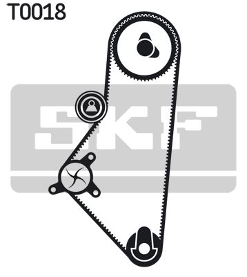 SKF Wasserpumpe + Zahnriemensatz (VKMC 03201-2)