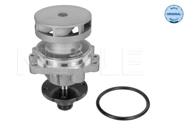MEYLE Wasserpumpe, Motorkühlung (313 011 3800)