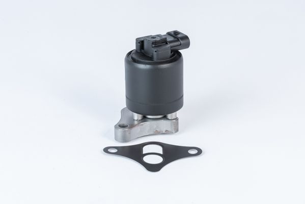 BorgWarner (Wahler) AGR-Ventil (710961R)