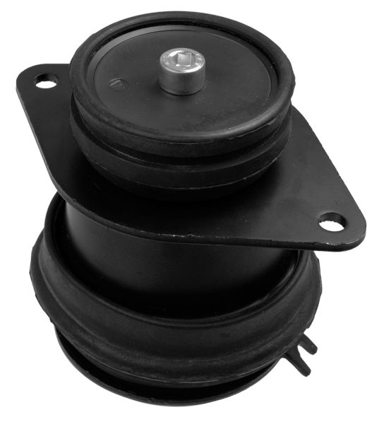 LEMFÖRDER Lagerung, Motor (14355 01)