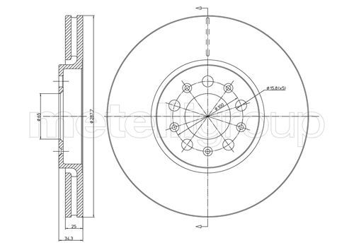CIFAM Bremsscheibe (800-365C)