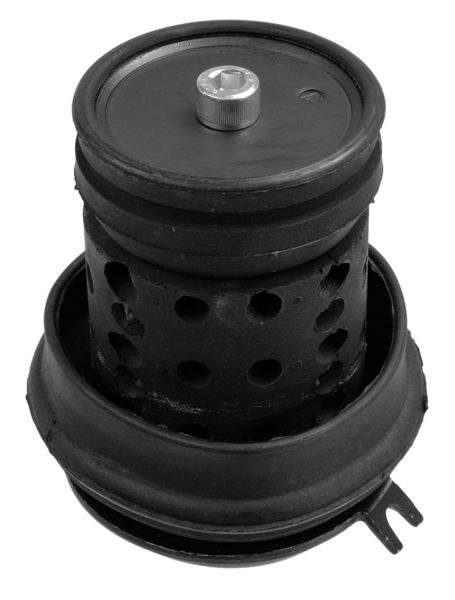 LEMFÖRDER Lagerung, Motor (14361 02)