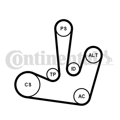 CONTINENTAL CTAM Keilrippenriemensatz (6PK1795K1)