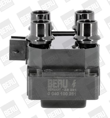 BorgWarner (BERU) Zündspule (ZS281)