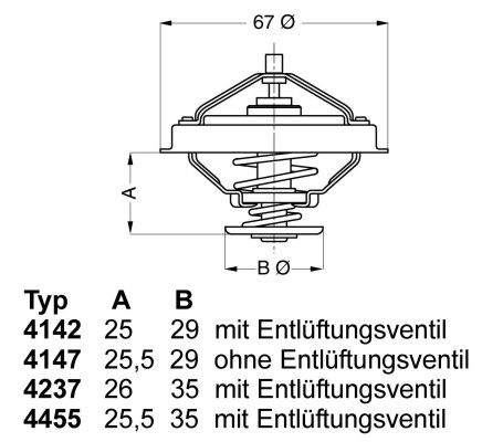 BorgWarner (Wahler) Thermostat, Kühlmittel (4455.80D)
