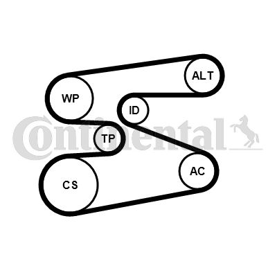 CONTINENTAL CTAM Keilrippenriemensatz (6PK1698K1)
