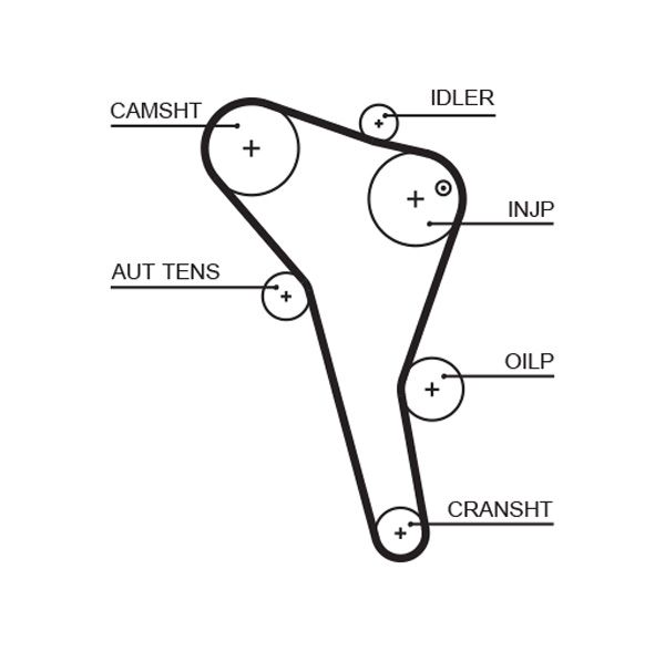 GATES Zahnriemen (5622XS)