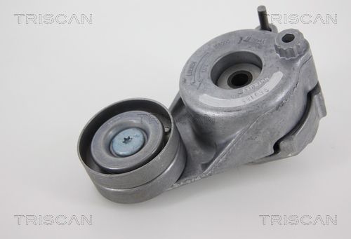 TRISCAN Riemenspanner, Keilrippenriemen (8641 233018)