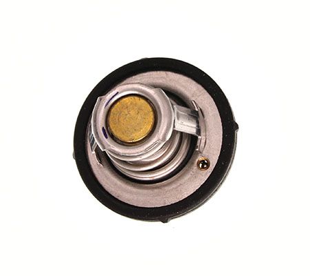 MAXGEAR Thermostat, Kühlmittel (67-0047)
