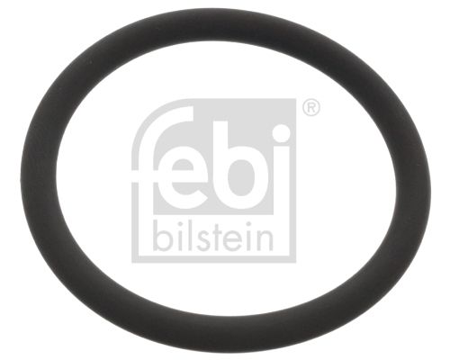 FEBI BILSTEIN Dichtung, Wasserpumpe (48765) Thumbnail