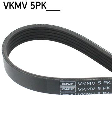 SKF Keilrippenriemen (VKMV 5PK2020)