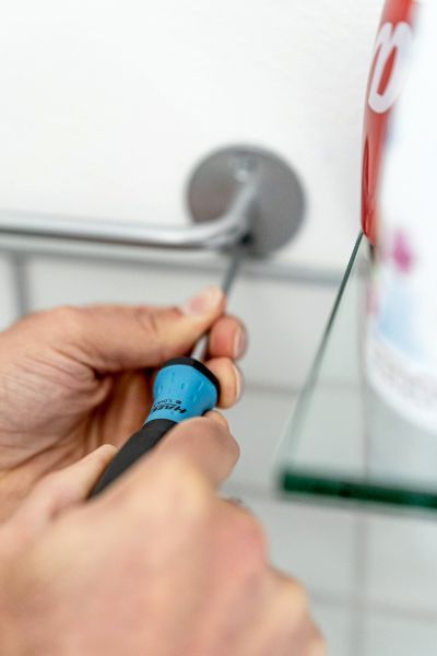 HAZET Schraubendrehersatz (810/6)