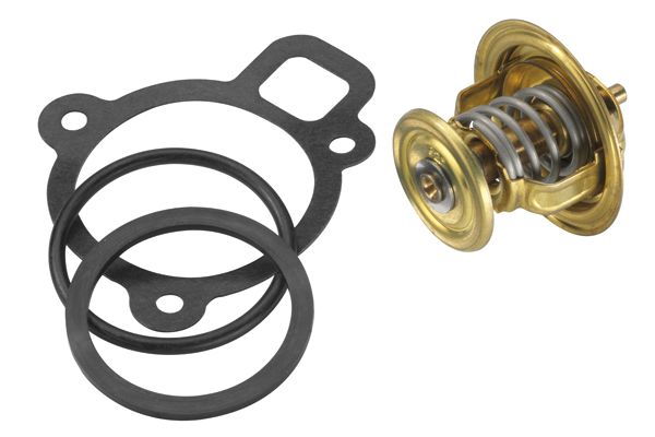 BorgWarner (Wahler) Thermostat, Kühlmittel (4256.92D50)