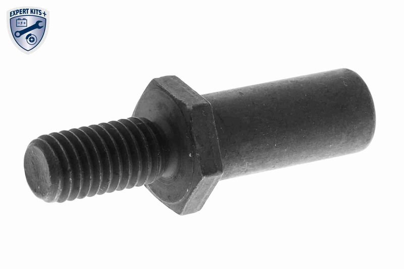 VAICO Steuerkettensatz (V10-10009)