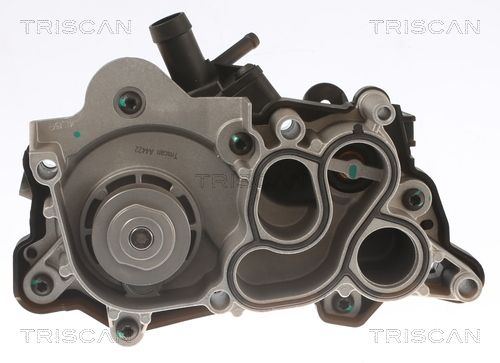TRISCAN Wasserpumpe, Motorkühlung (8600 29087) TRISCAN Wasserpumpe, Motorkühlung (8600 29087)