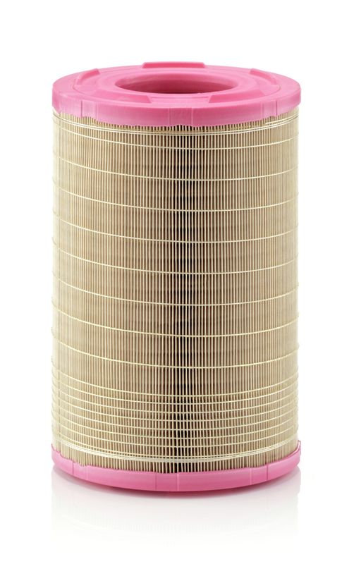 MANN-FILTER Luftfilter (C 25 730/1)