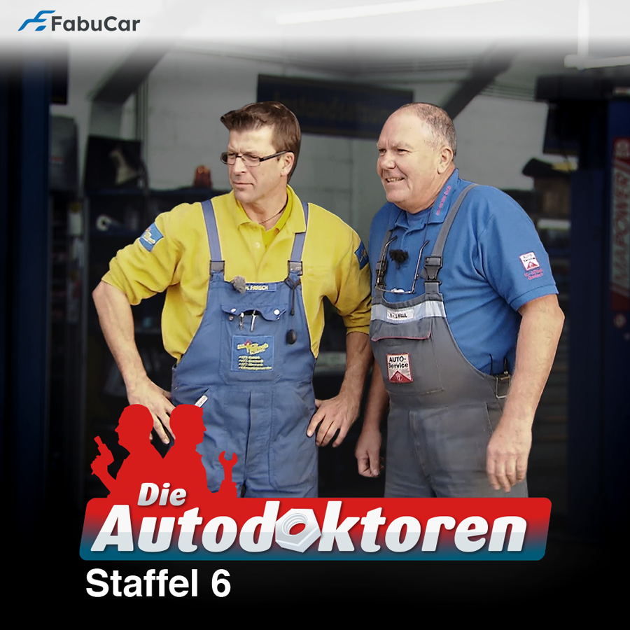 Staffel 06 (2013)