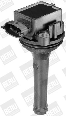 BorgWarner (BERU) Zündspule (ZSE019)